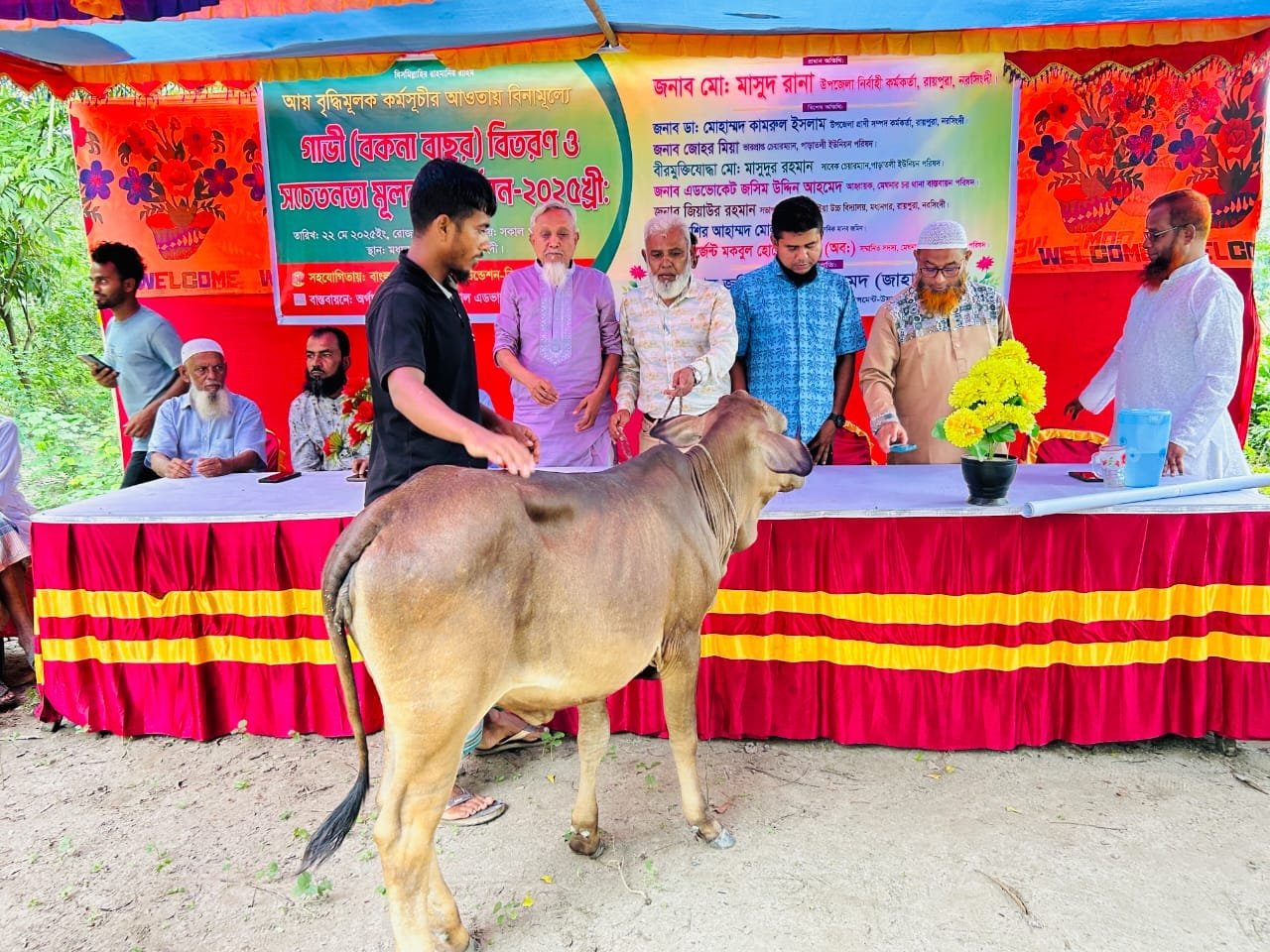 Cow in foreground at a distribution ceremony, stage behind.